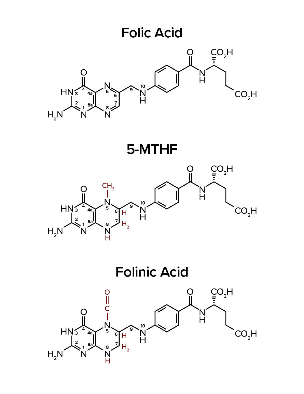 Chemical Structure of Folic Acid