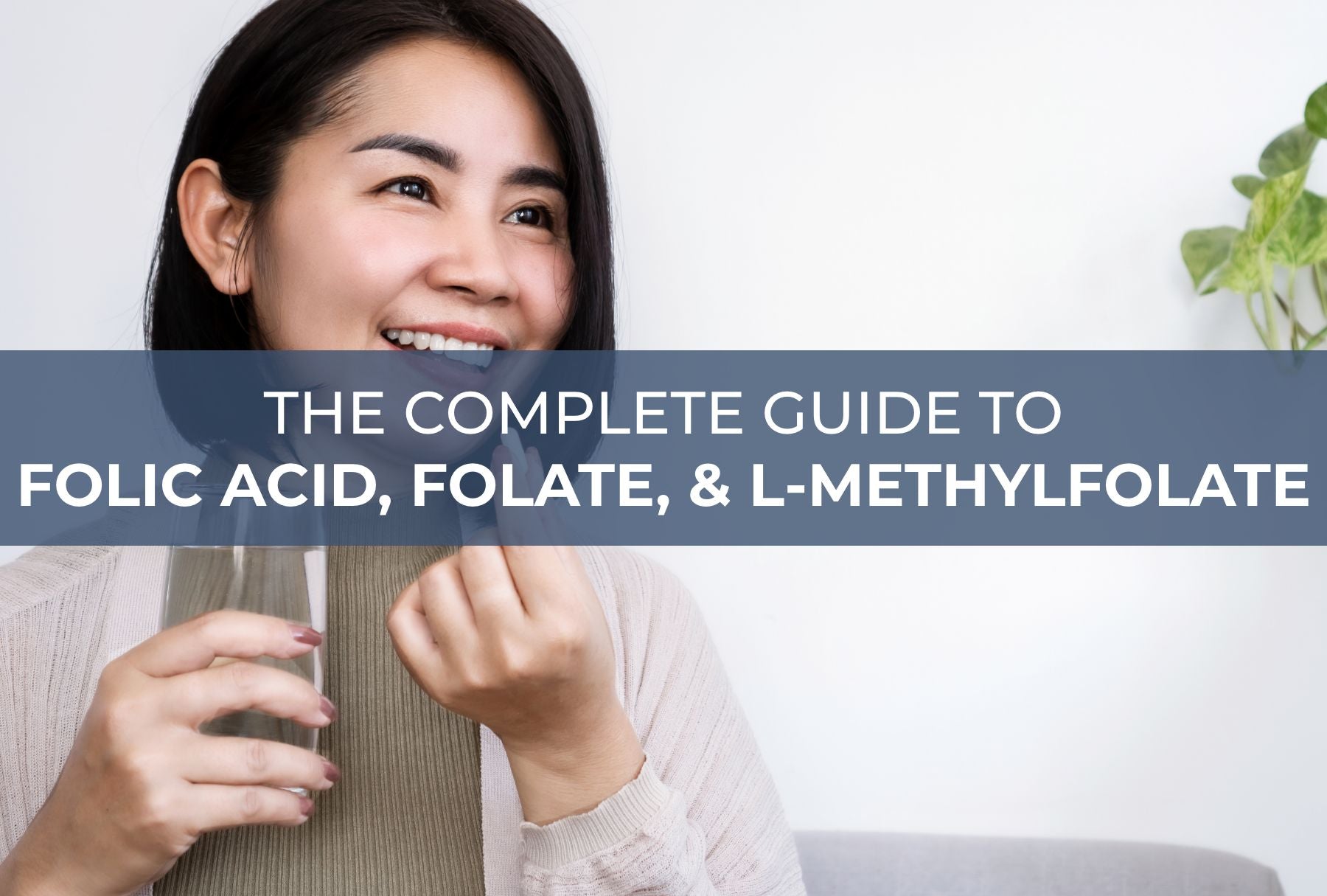 The  Guide to Folic Acid, Folate, and L-Methylfolate