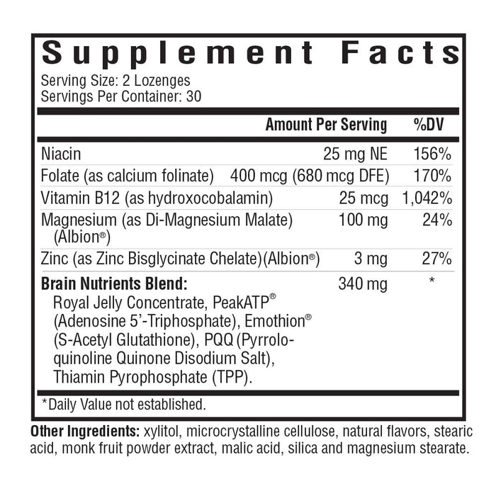 Nootropic Support Bundle