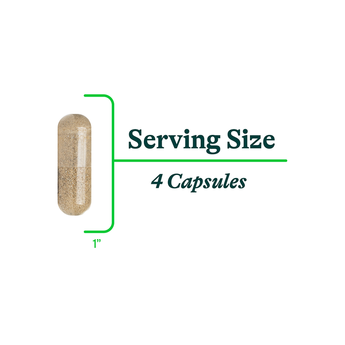 Bile Nutrients (formerly Gallbladder Nutrients)